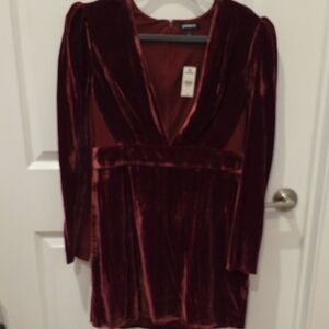 Express Velvet Long Sleeve Dress in Rich Burgundy